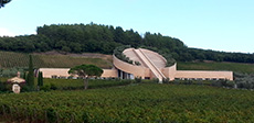 wine_tours