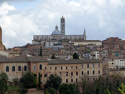 siena